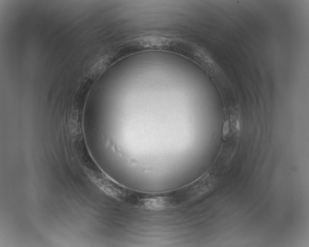 X0000053020411200507081331