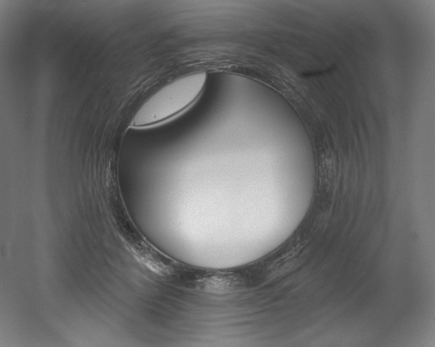 X0000053020412200507081331