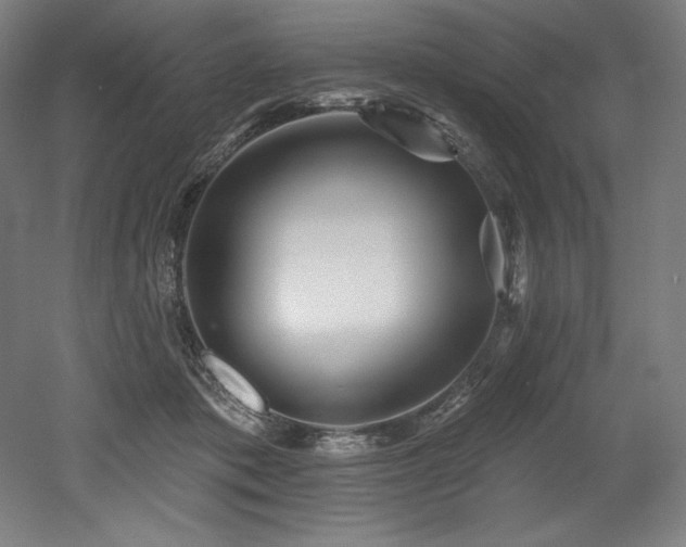 X0000053020413200507081331