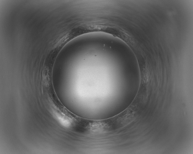 X0000053020414200507081331
