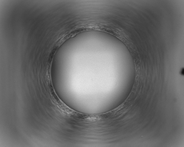X0000053020415200507081331