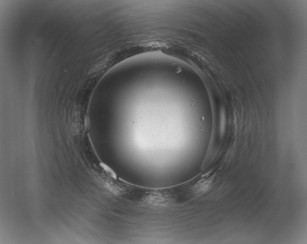X0000053020416200507081331