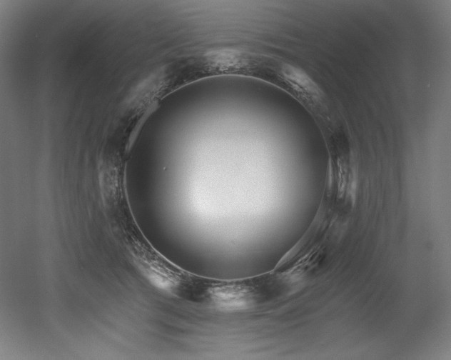 X0000053020417200507081331
