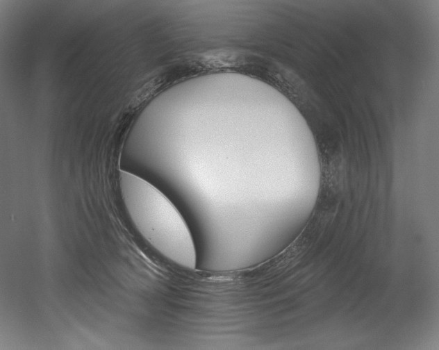 X0000053020418200507081331