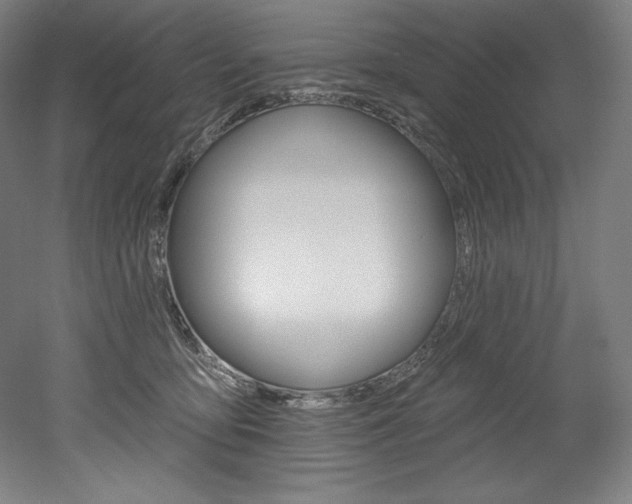 X0000053020419200507081331