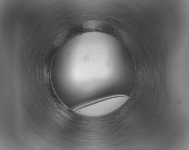 X0000053020420200507081331