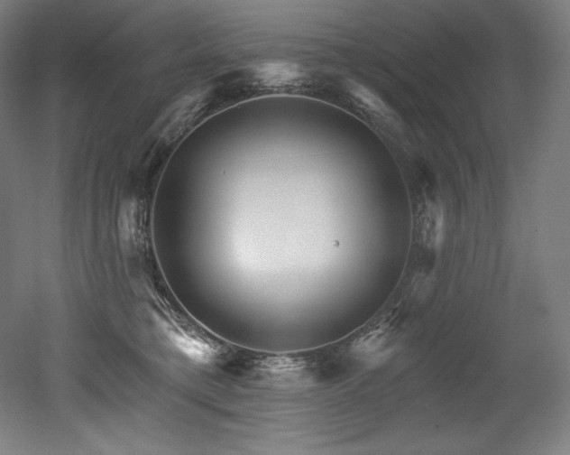 X0000053020421200507081331