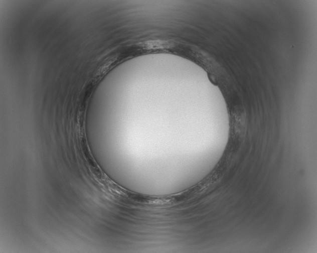X0000053020422200507081331