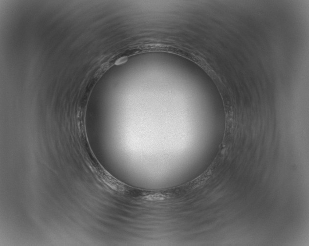 X0000053020423200507081331