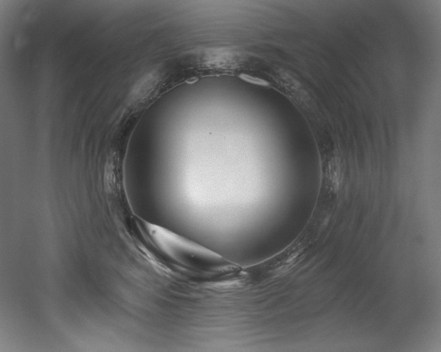 X0000053020424200507081331