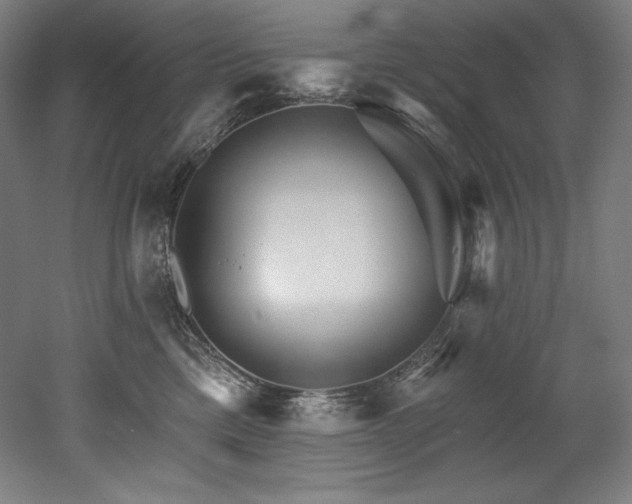 X0000053020425200507081331