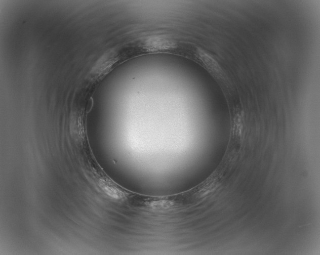 X0000053020426200507081331