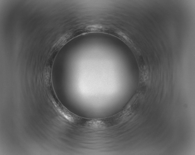 X0000053020427200507081331