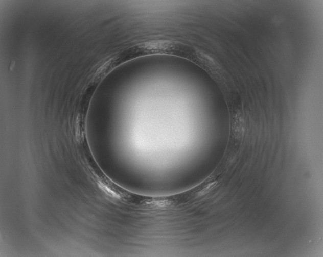 X0000053020428200507081331