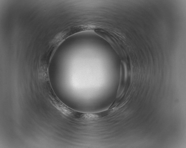 X0000053020429200507081331