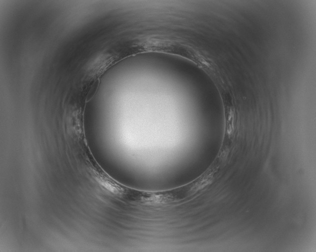 X0000053020430200507081331
