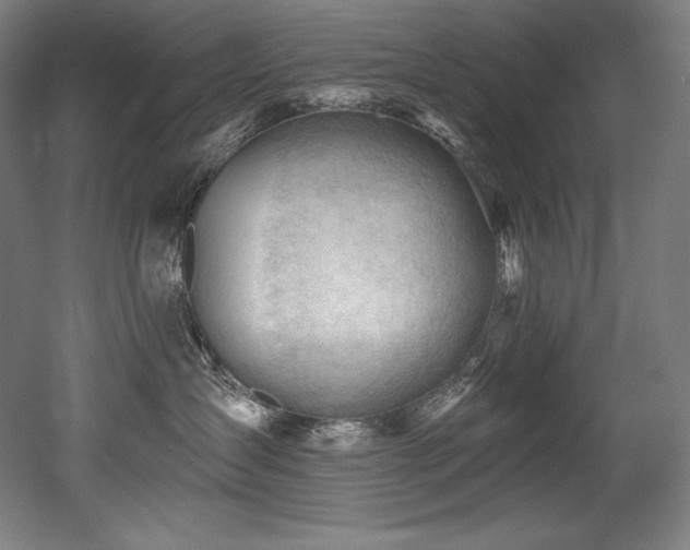 X0000053020431200507081331