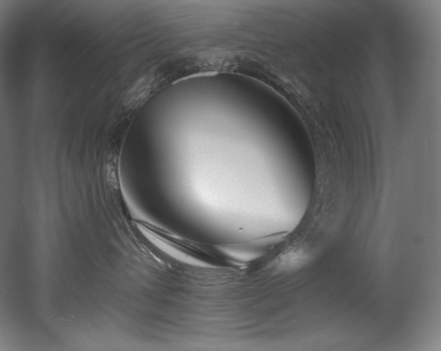 X0000053020432200507081331