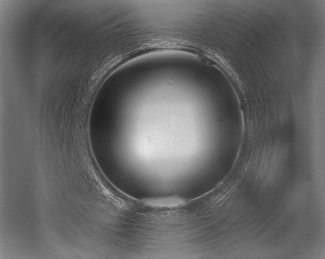 X0000053020433200507081330