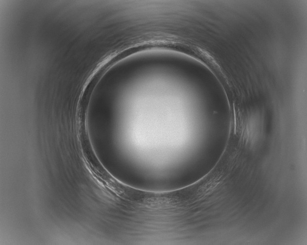 X0000053020435200507081330