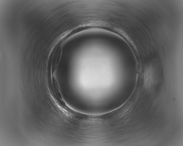 X0000053020437200507081330