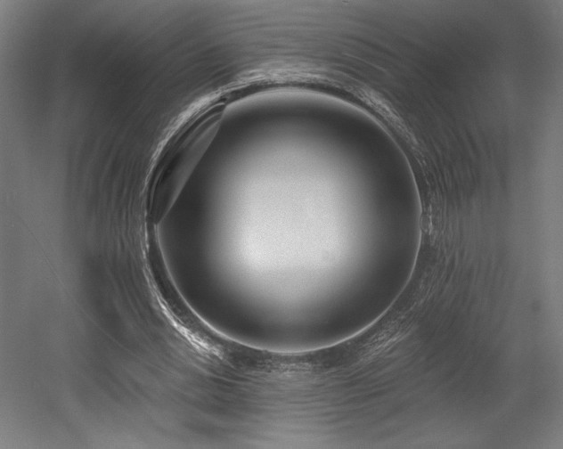 X0000053020438200507081330