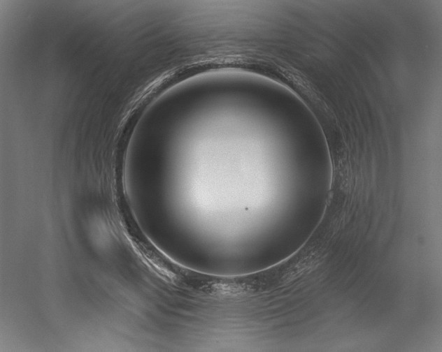 X0000053020442200507081330