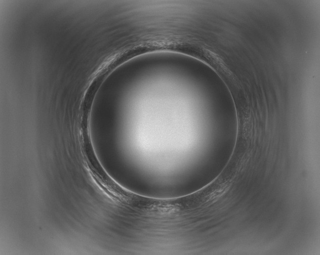 X0000053020443200507081330