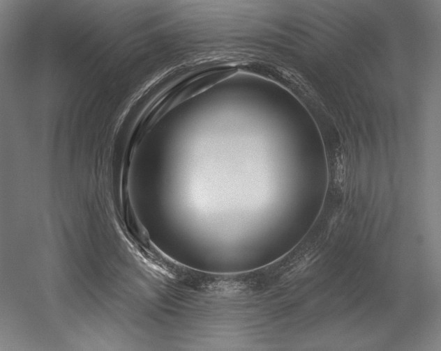 X0000053020444200507081330