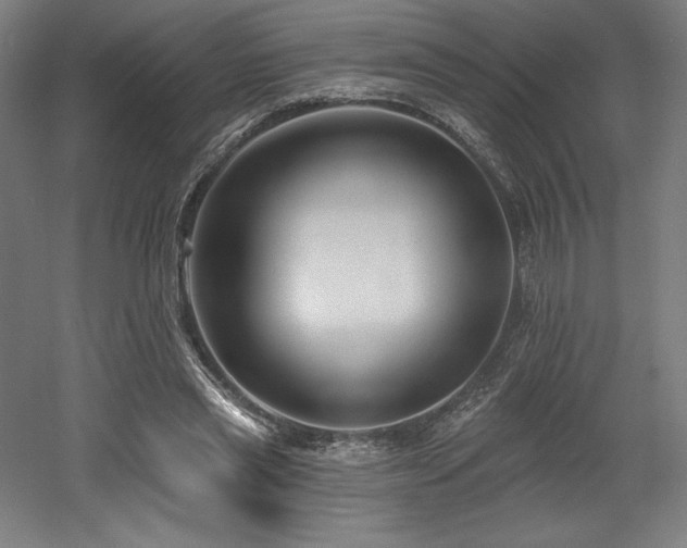 X0000053020445200507081330