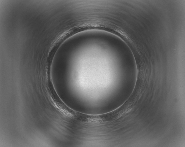 X0000053020446200507081330