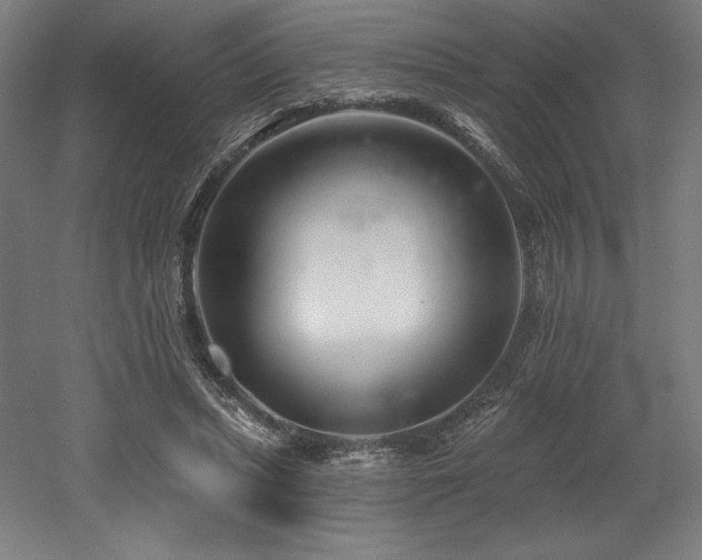 X0000053020447200507081330