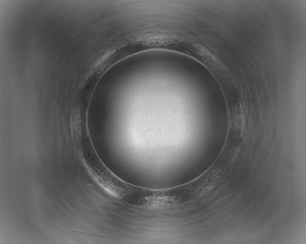 X0000053020448200507081330