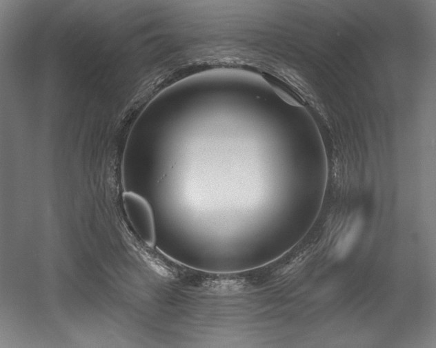 X0000053020449200507081330