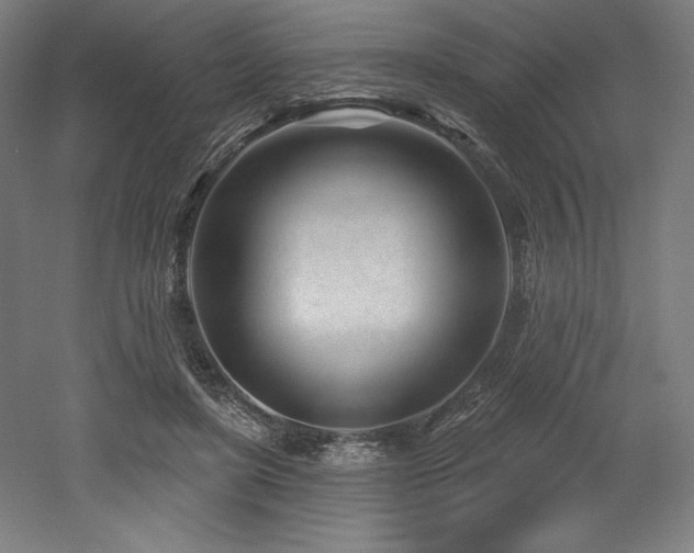 X0000053020451200507081330