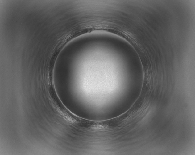 X0000053020453200507081330