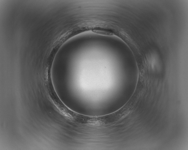 X0000053020454200507081330