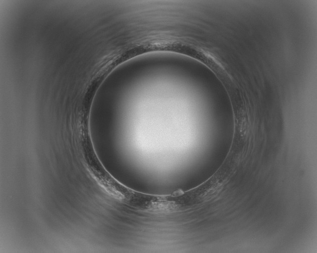 X0000053020455200507081330