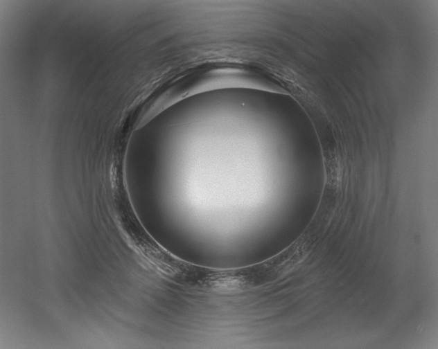 X0000053020456200507081330