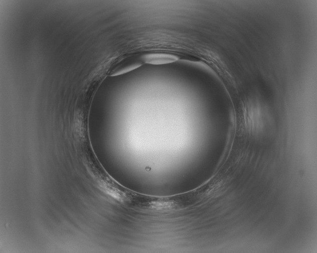 X0000053020457200507081330