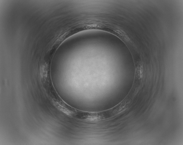X0000053020458200507081330