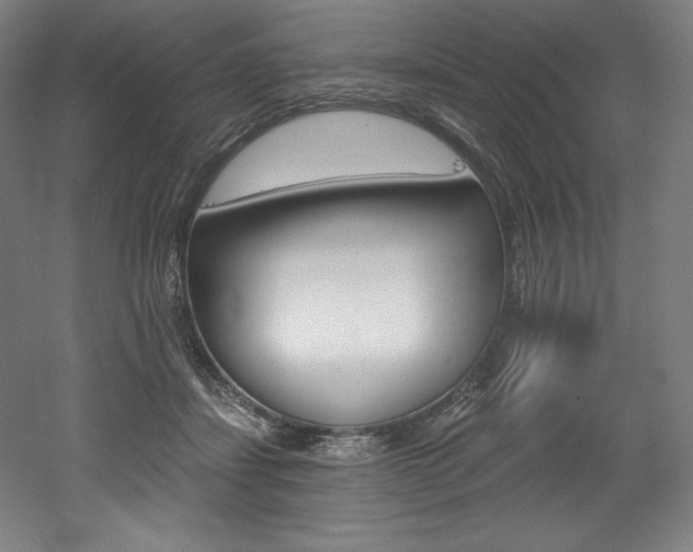 X0000053020459200507081330