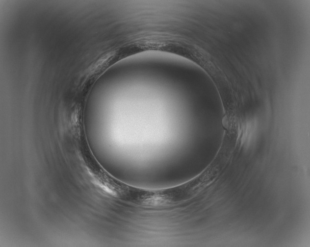 X0000053020460200507081330