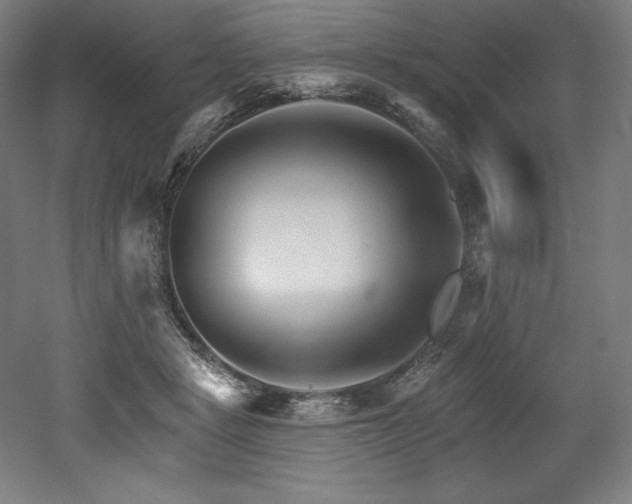 X0000053020461200507081330