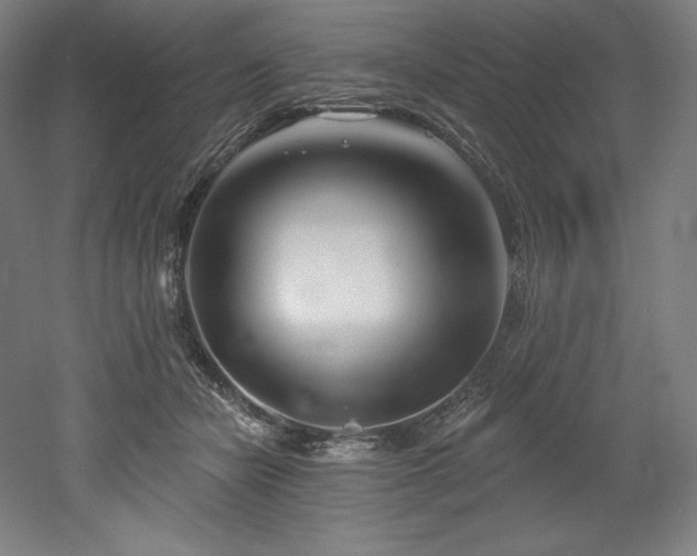 X0000053020462200507081330