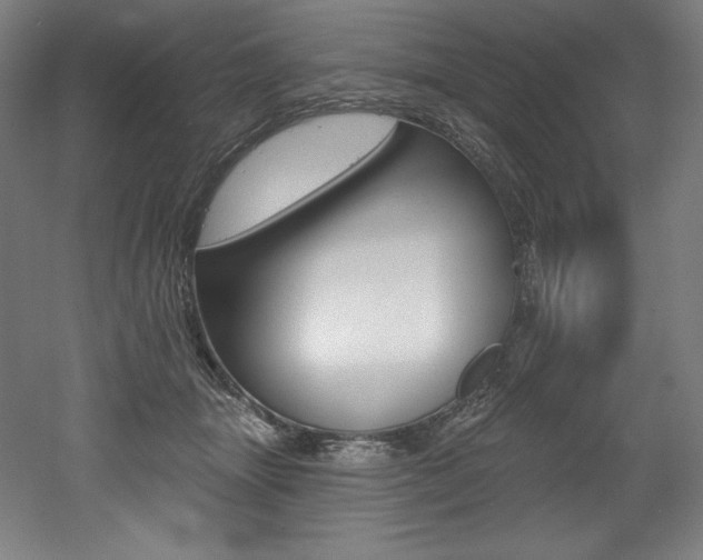 X0000053020463200507081330