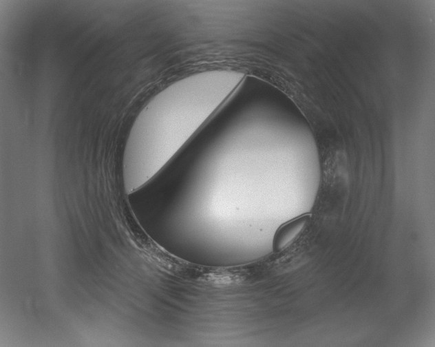 X0000053020464200507081330
