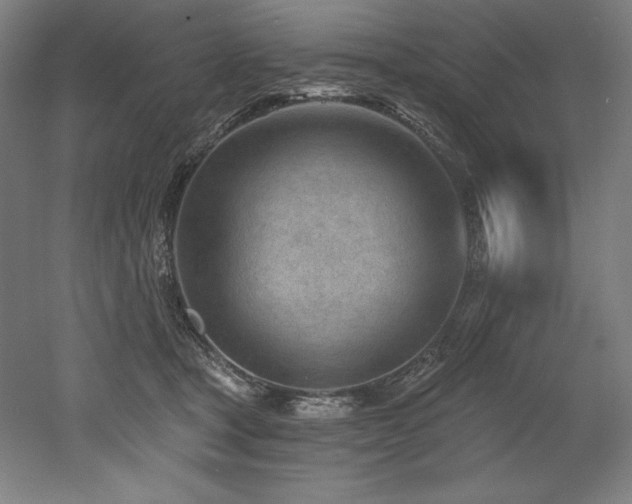 X0000053020465200507081330