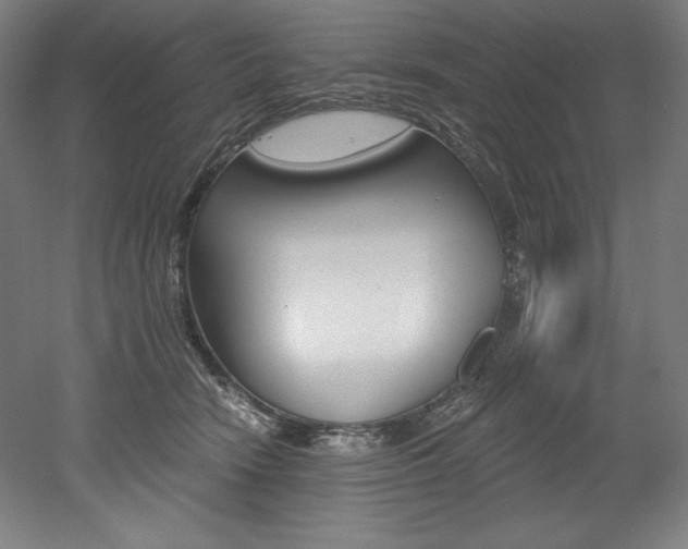 X0000053020466200507081330