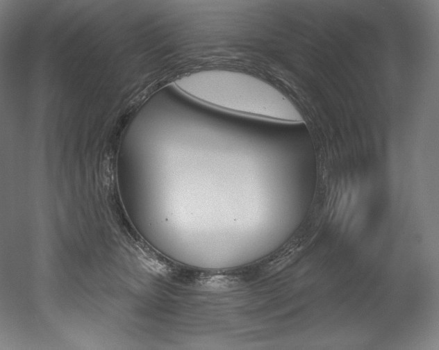 X0000053020467200507081330